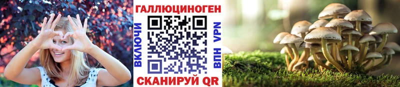 где продают   Суоярви  Галлюциногенные грибы MAGIC MUSHROOMS 